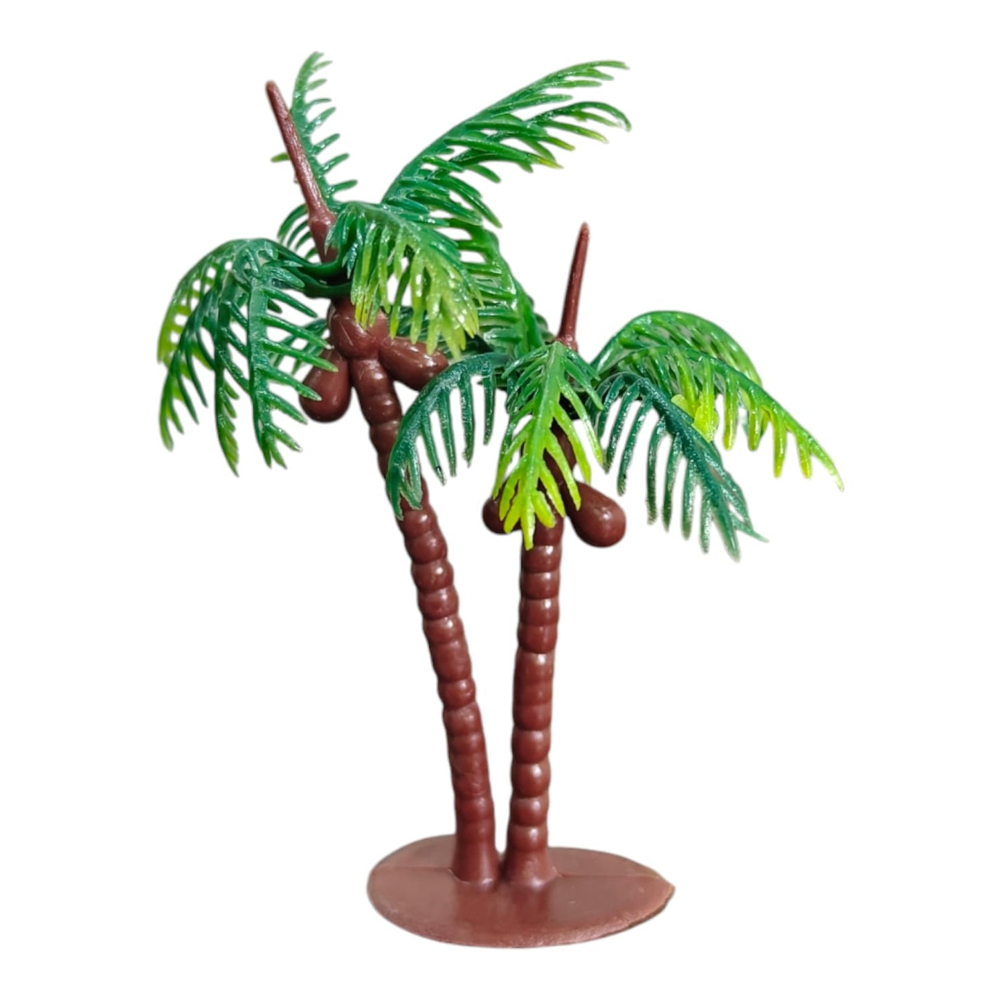 Coconut Tree