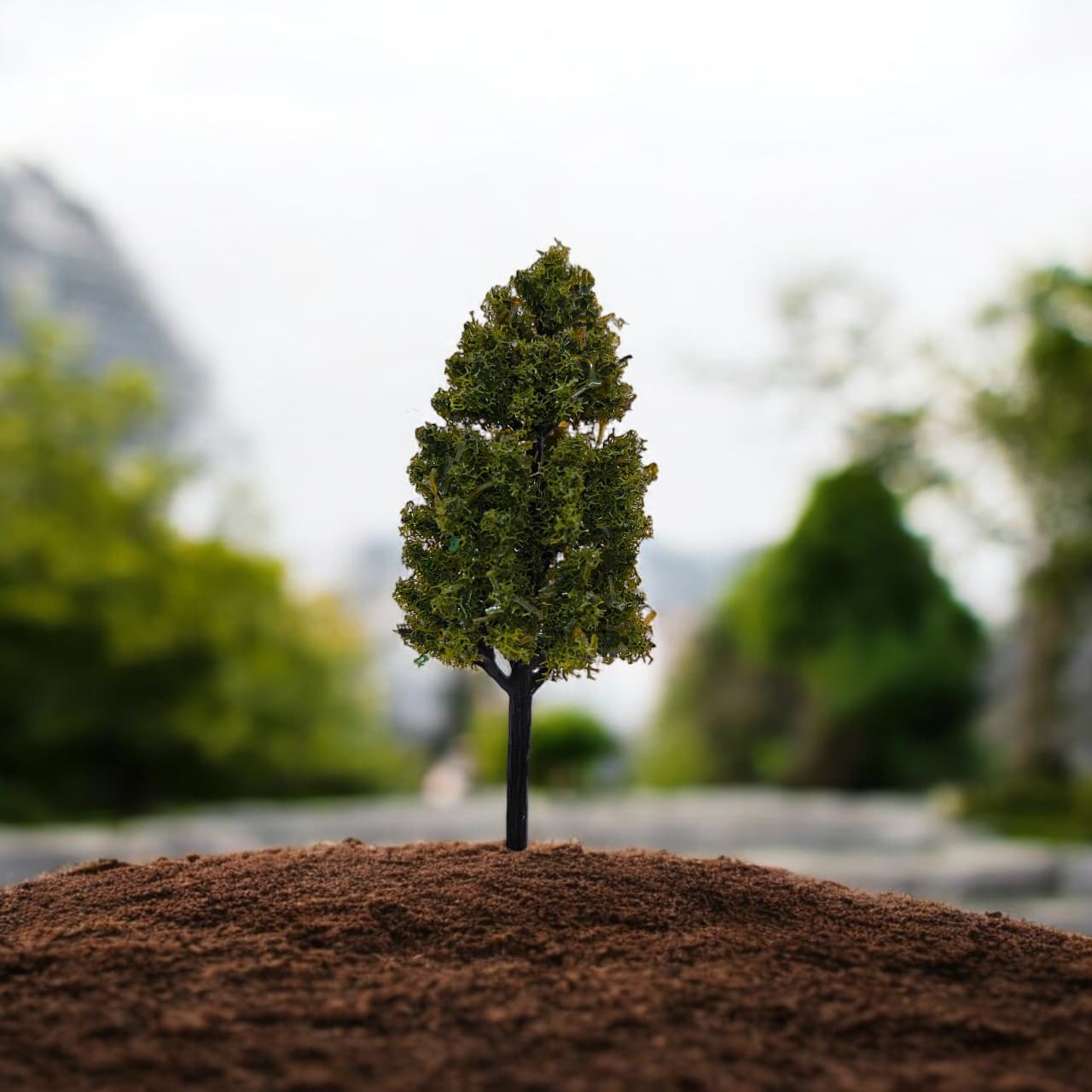 Tree_96