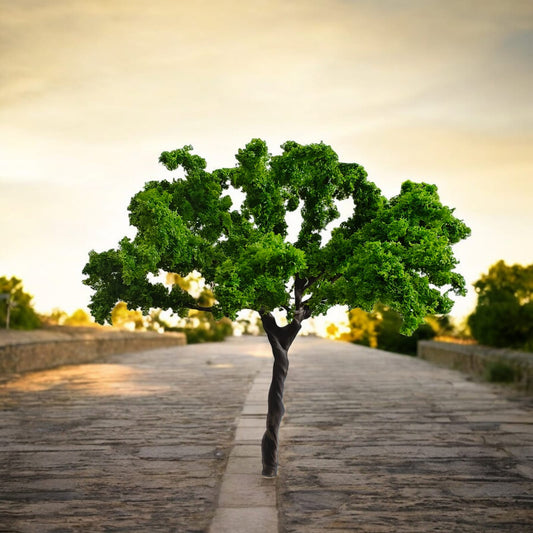 Big Tree_03
