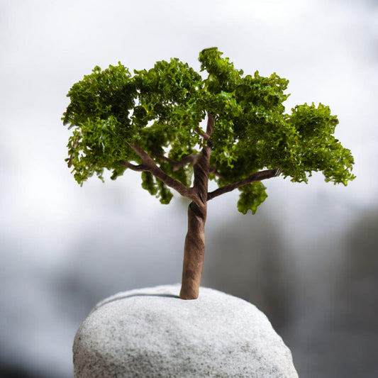 Big Tree_04