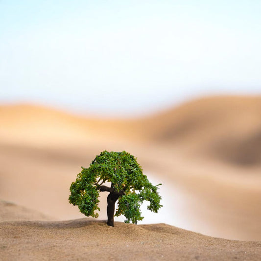 Big Tree_07