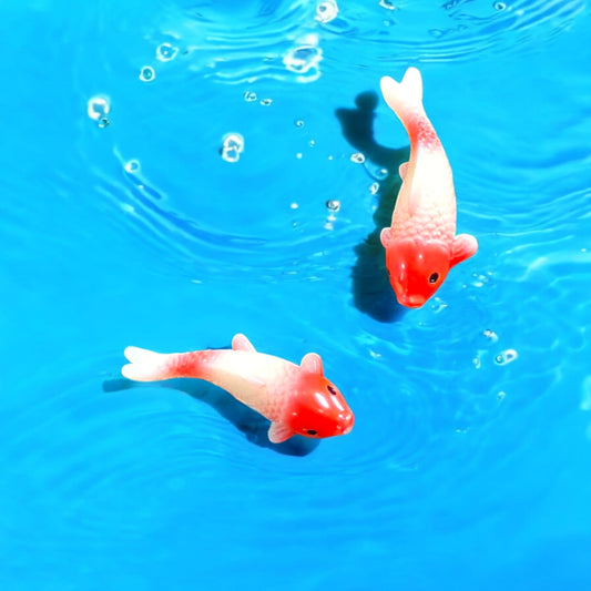 Koimoi Fish- Red