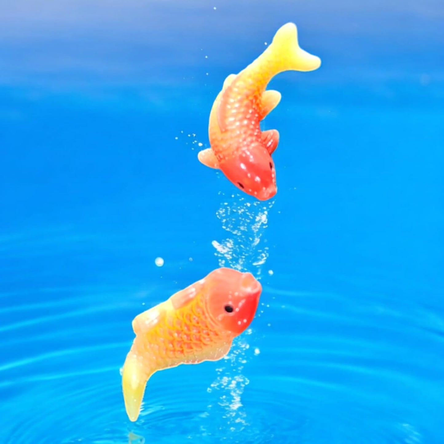 Koimoi Fish- Yellow