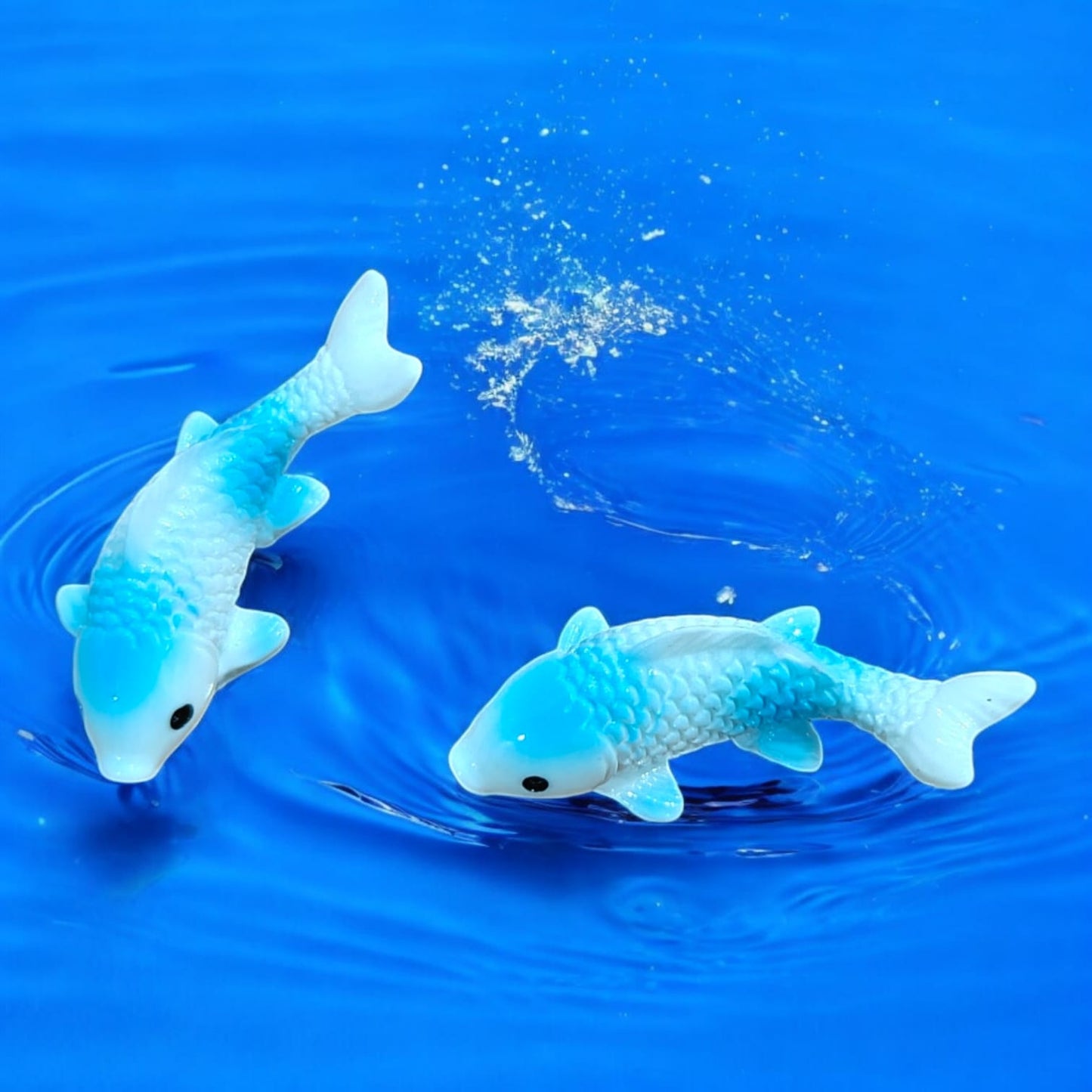 Koimoi Fish- Blue