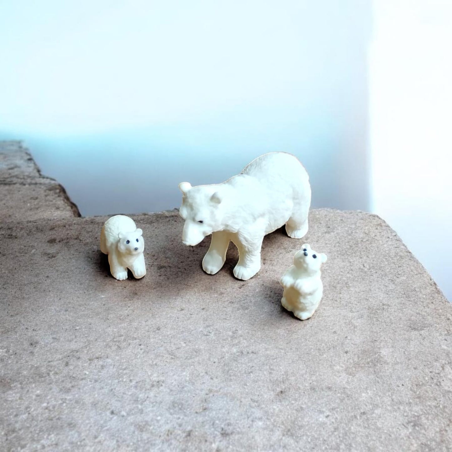White Bear Family
