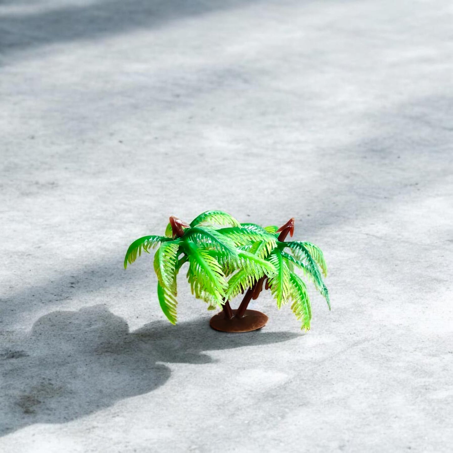 Mini Coconut Tree