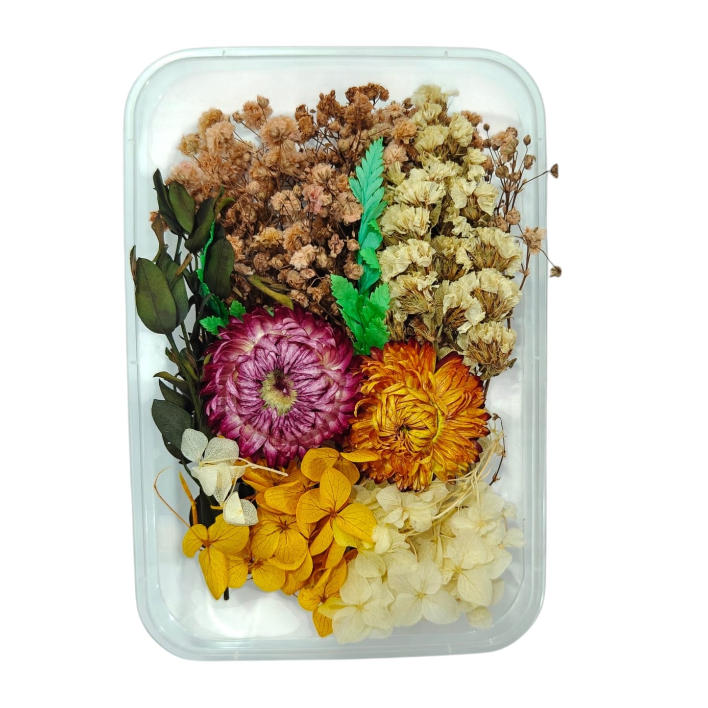 Dry Flower Box_11