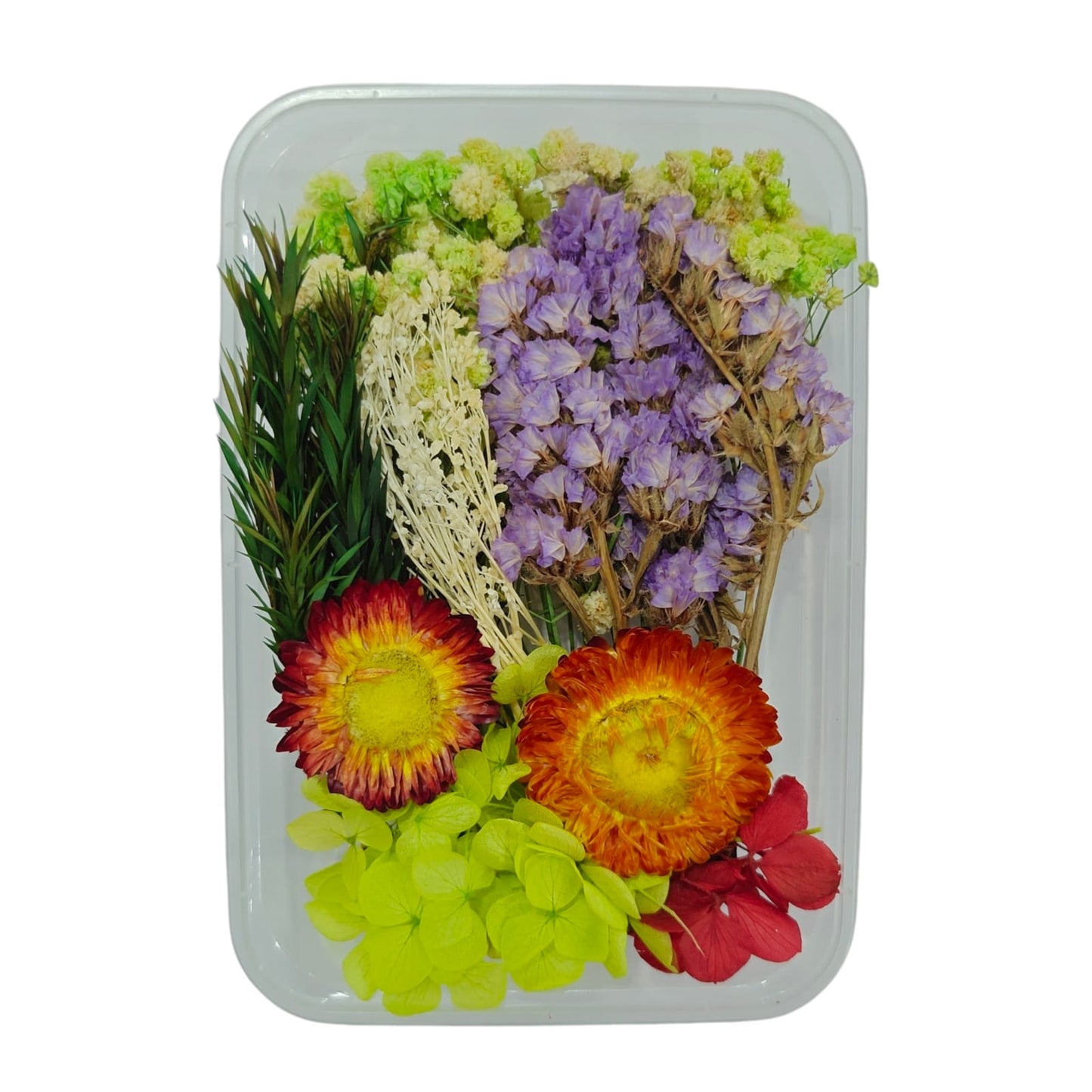Dry Flower Box_16