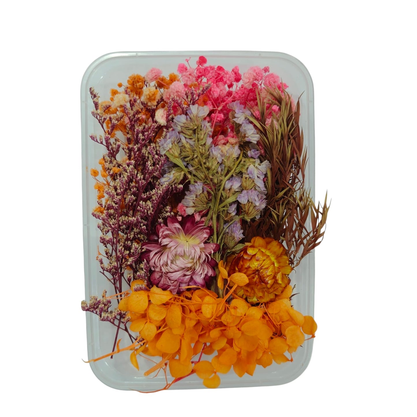 Flower Box_33