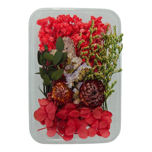 Dry Flower Box_17