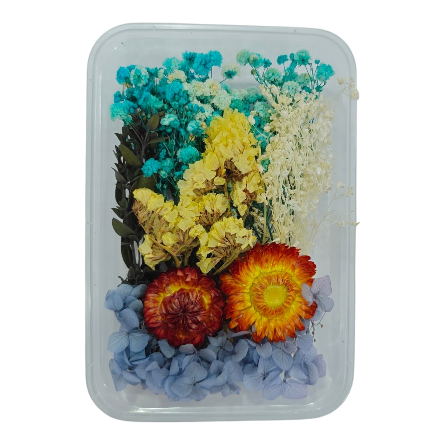 Dry Flower Box_07