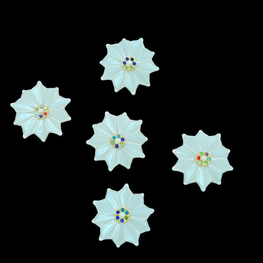 White Pearl Flower_11