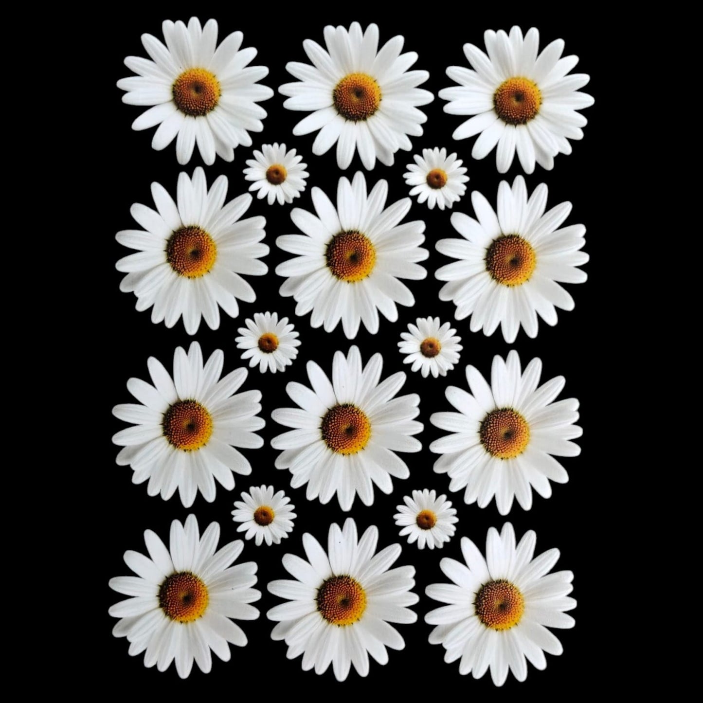 Uv Sheet-37