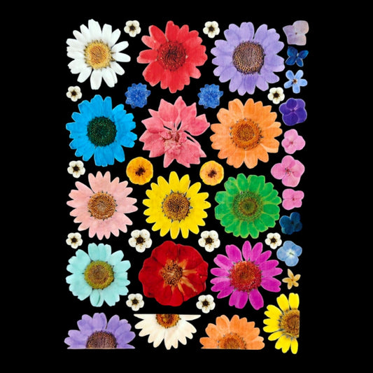 Uv Sheet-43