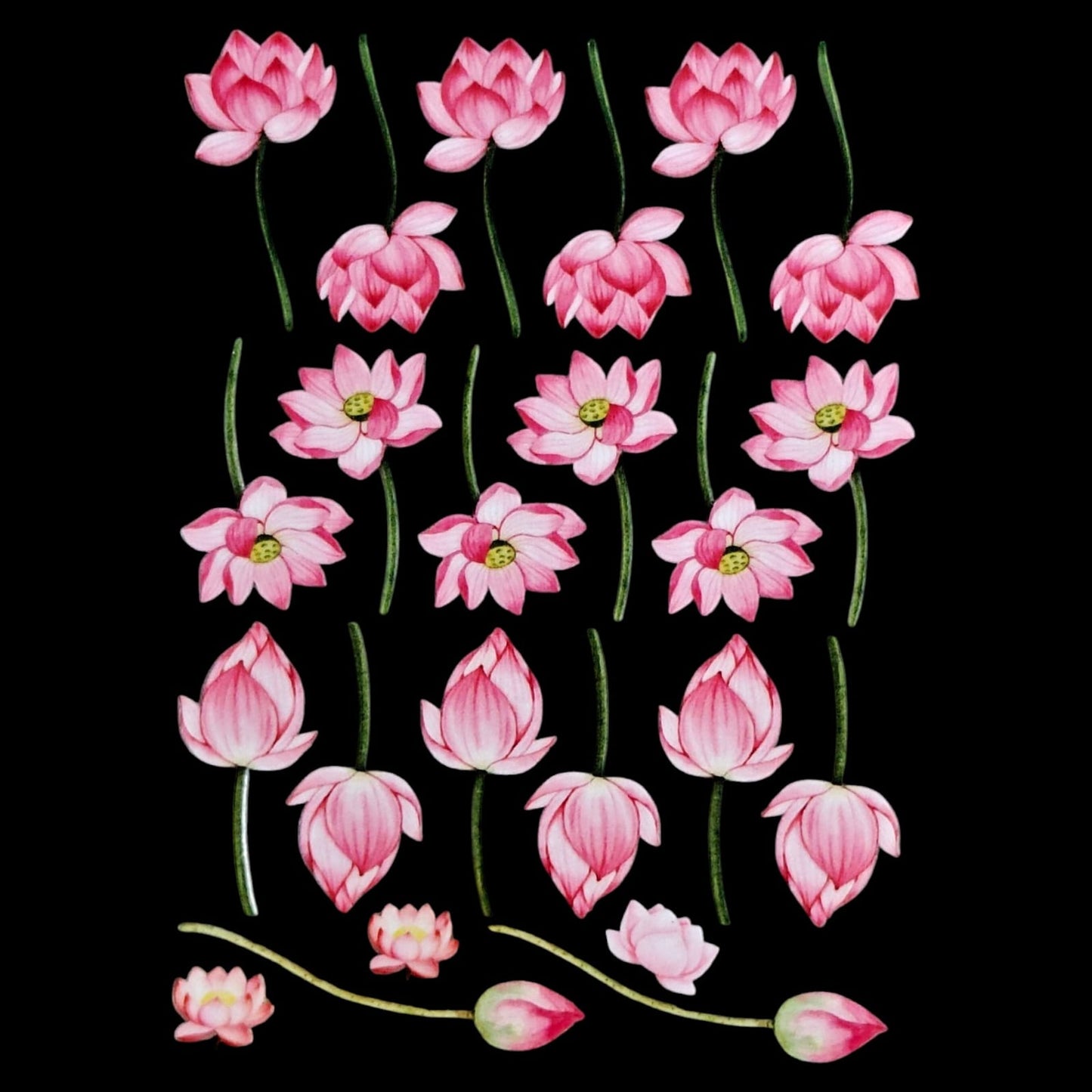 Uv Sheet-48