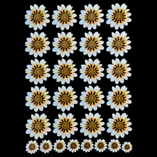 Uv Sheet-54