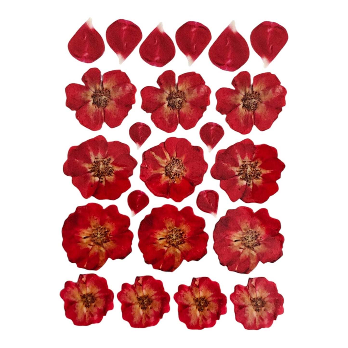 Uv Sheet-62