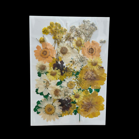 Pressed Flower _24