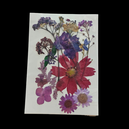 Pressed Flower _32