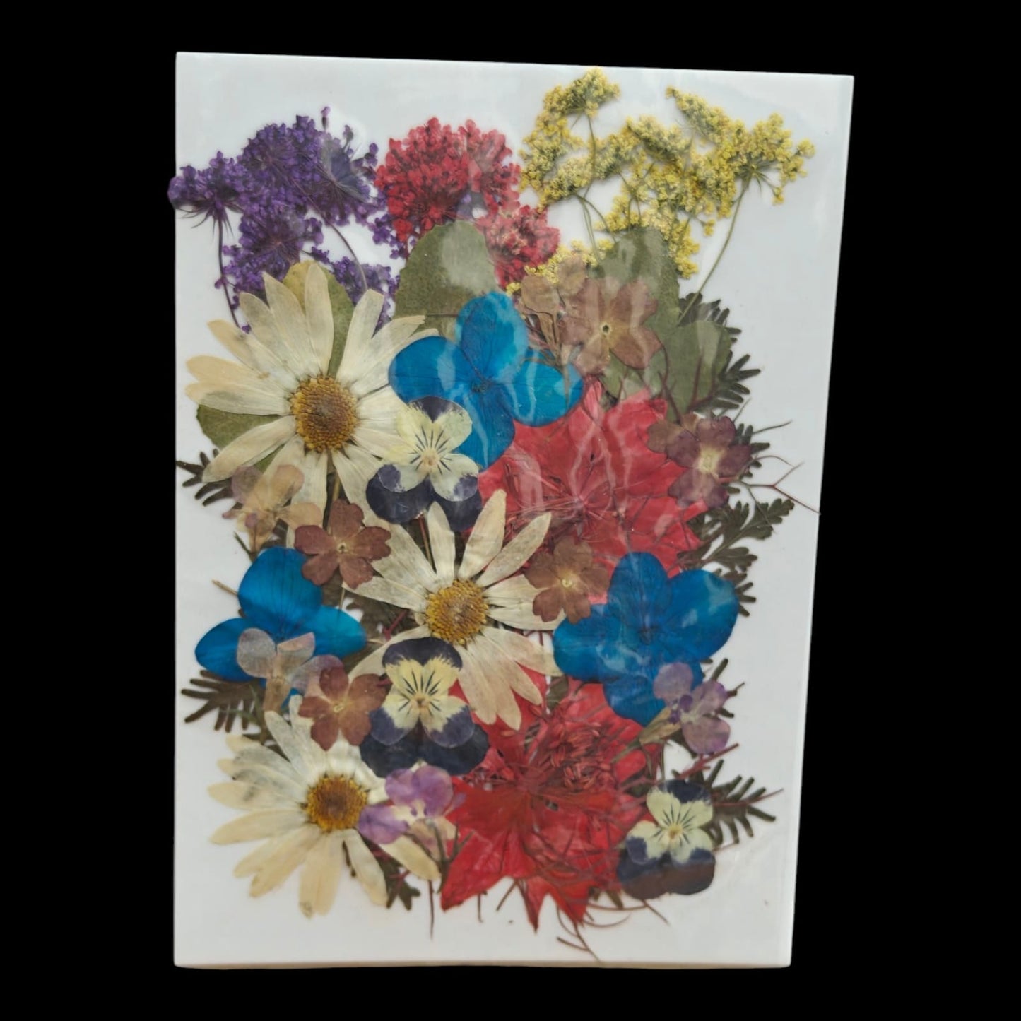 Pressed Flower _43