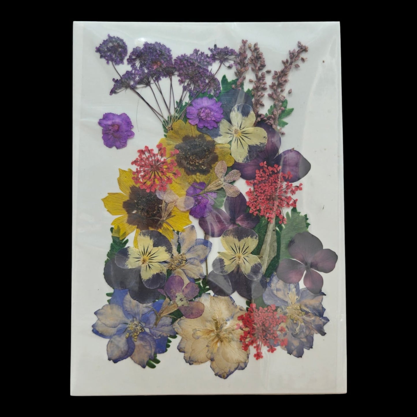 Pressed Flower _23
