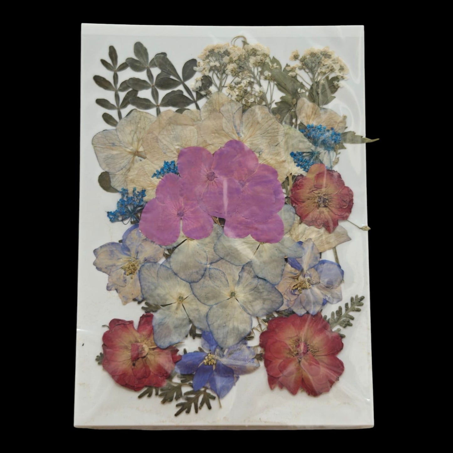 Pressed Flower _26