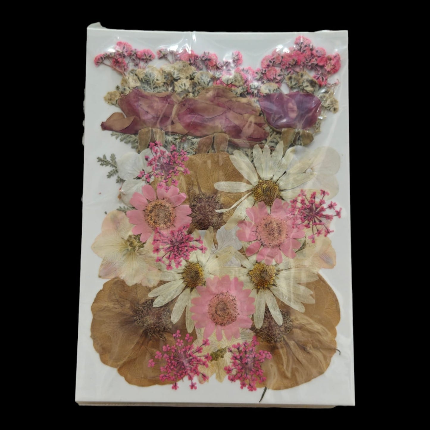 Pressed Flower _29