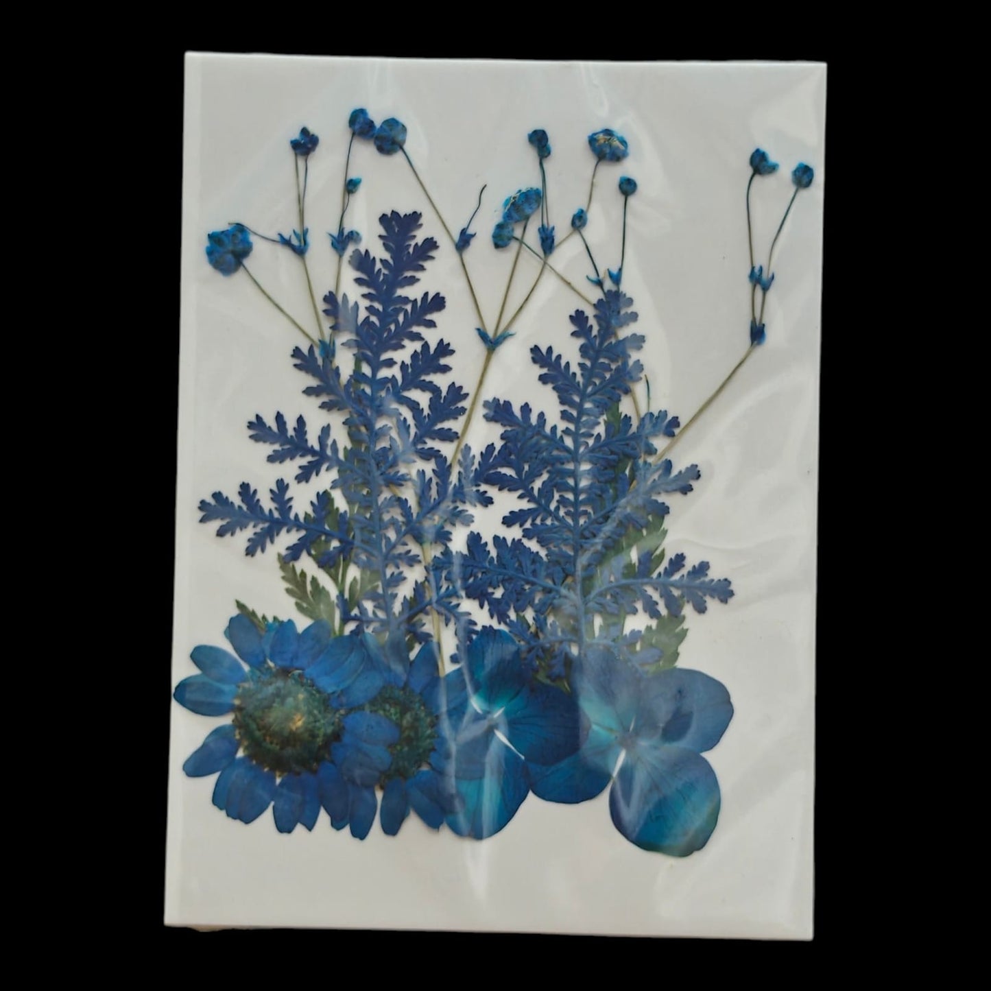 Pressed Flower _50