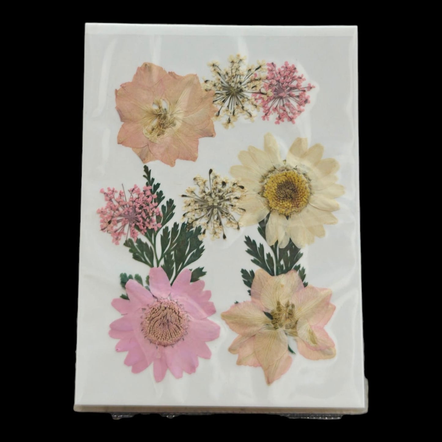 Pressed Flower _52