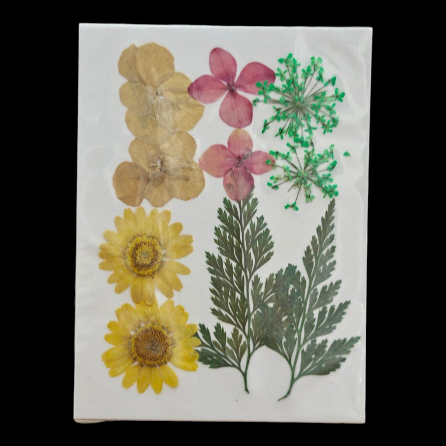 Pressed Flower _36