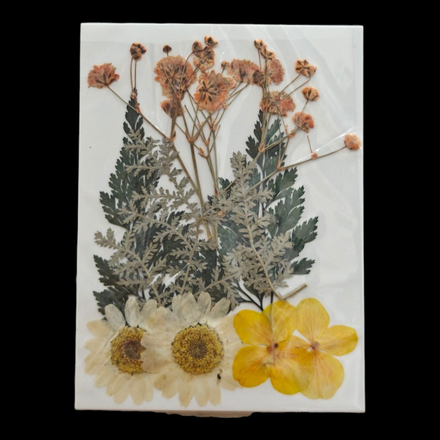 Pressed Flower _55