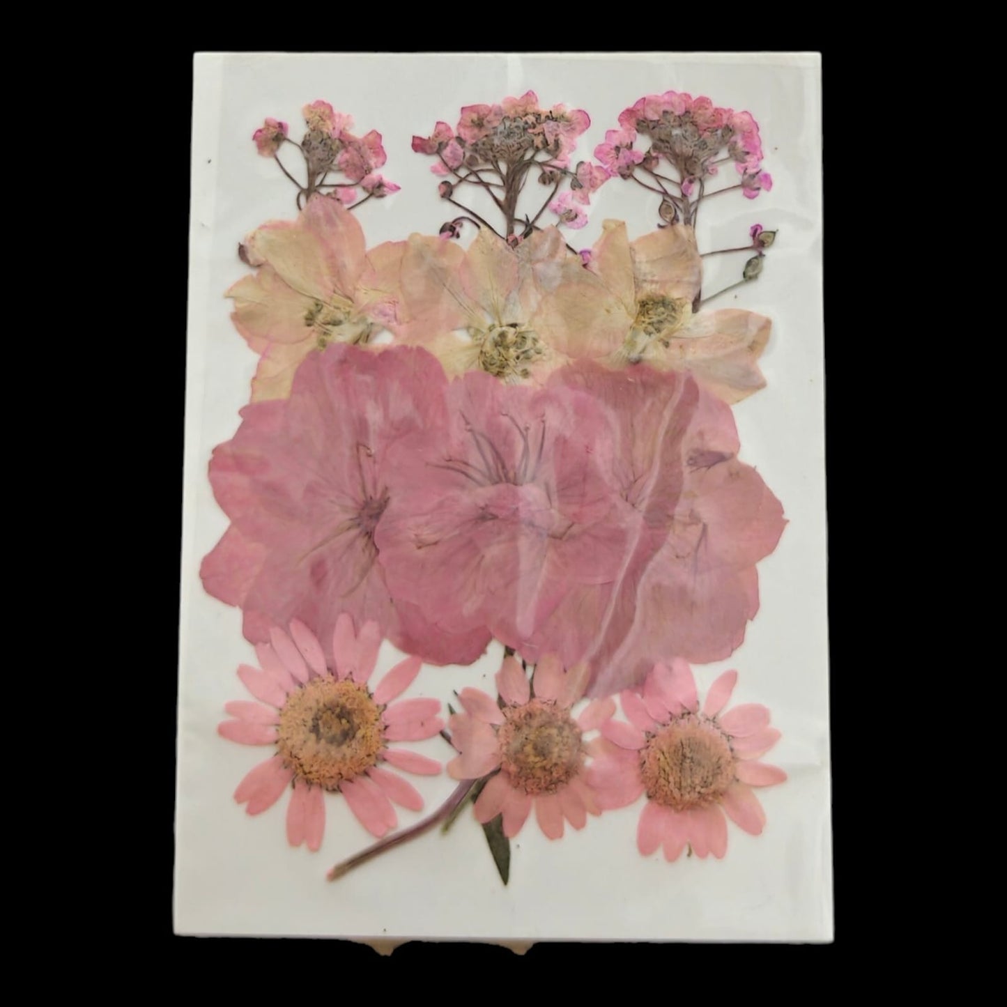 Pressed Flower _56