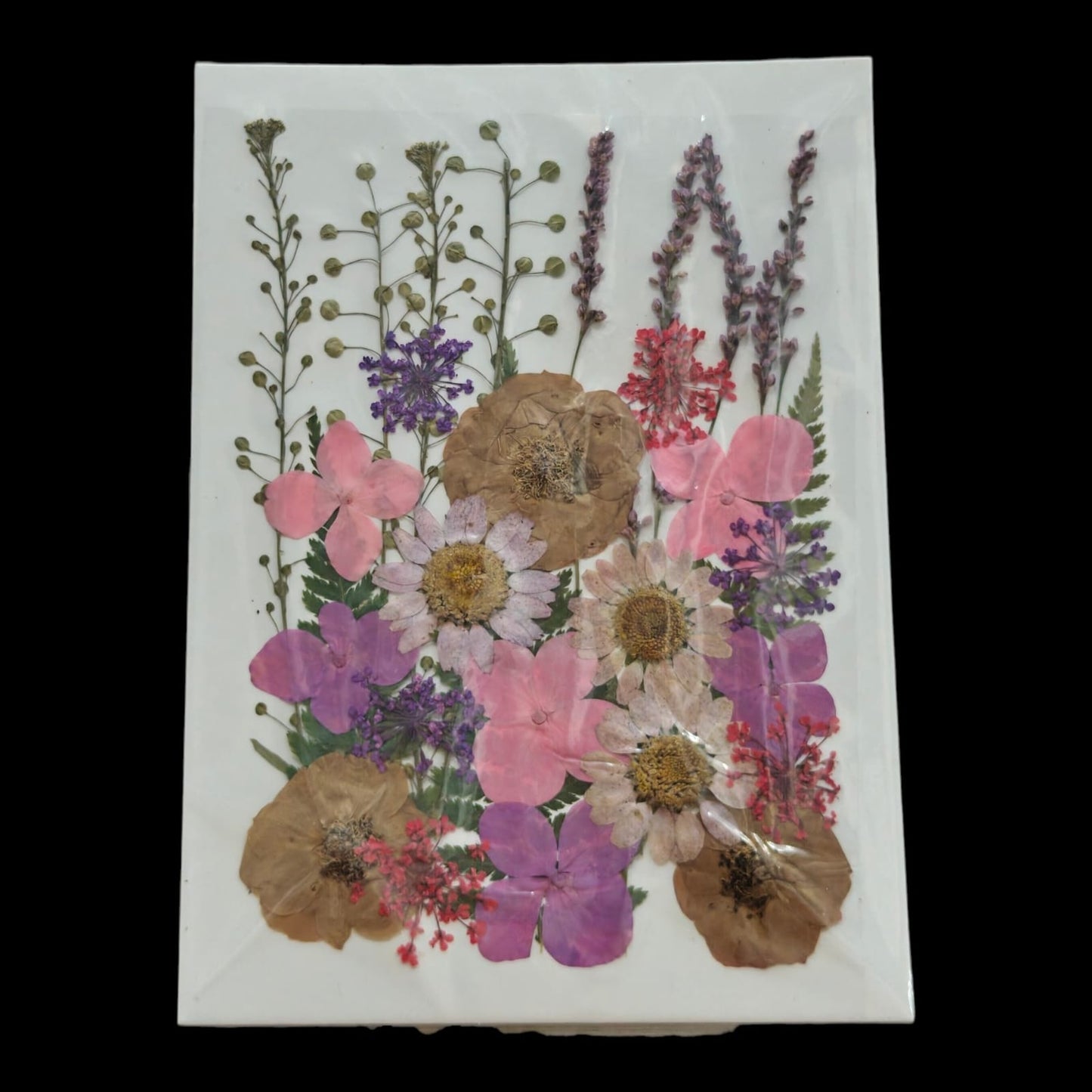 Pressed Flower _49