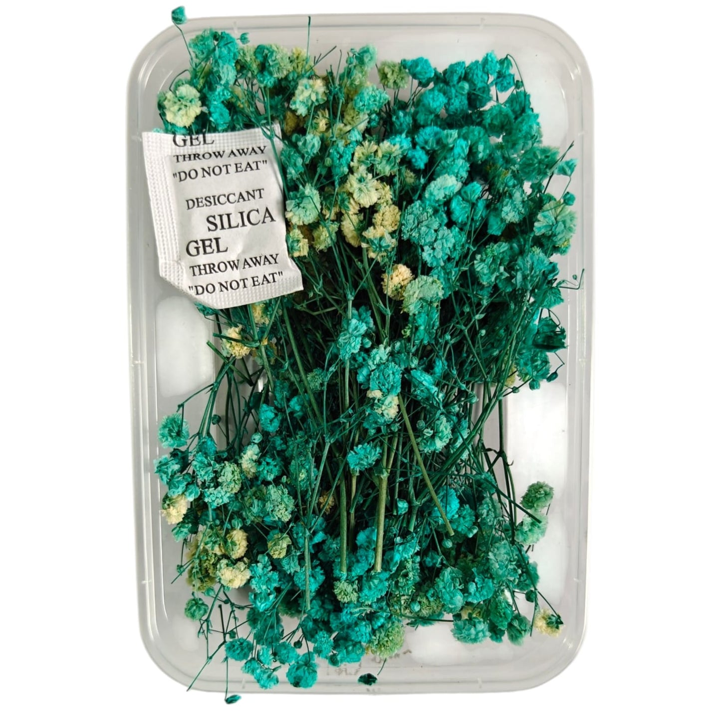 Baby Breath-04