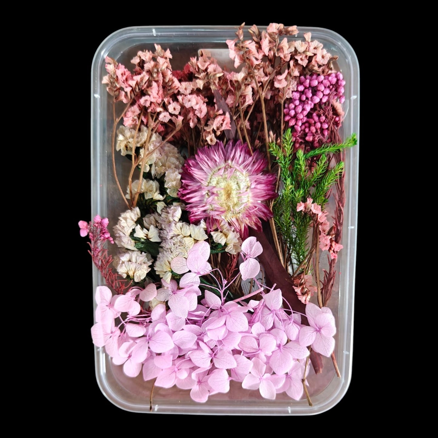 Dry Flower Box-5