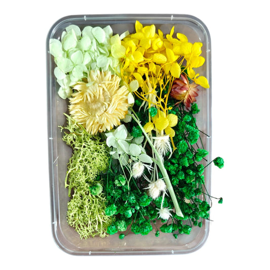 Dry Flower Box-7