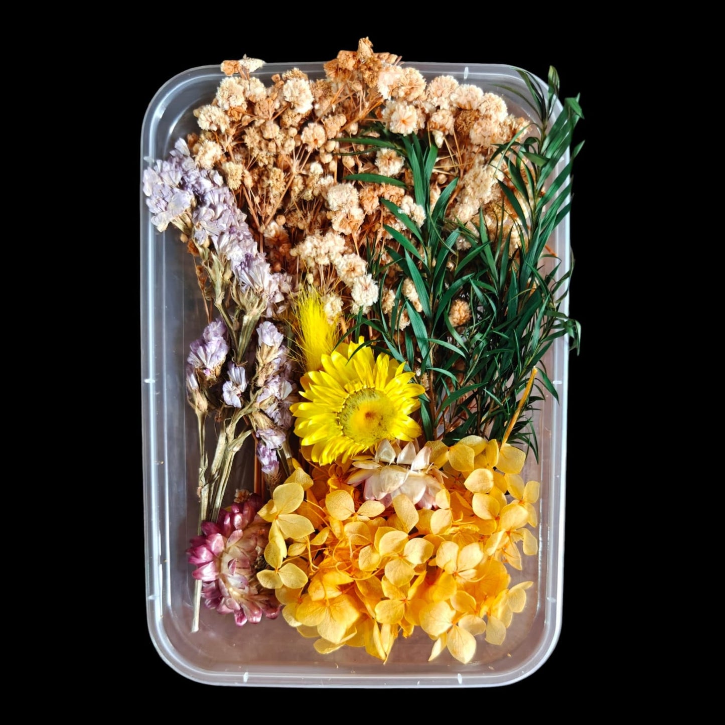 Dry Flower Box-12