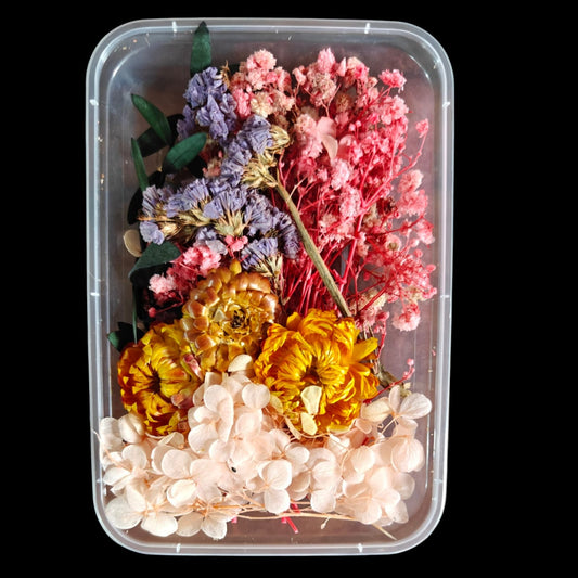 Dry Flower Box-14