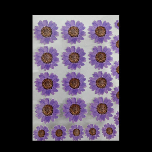 Uv Sheet-107