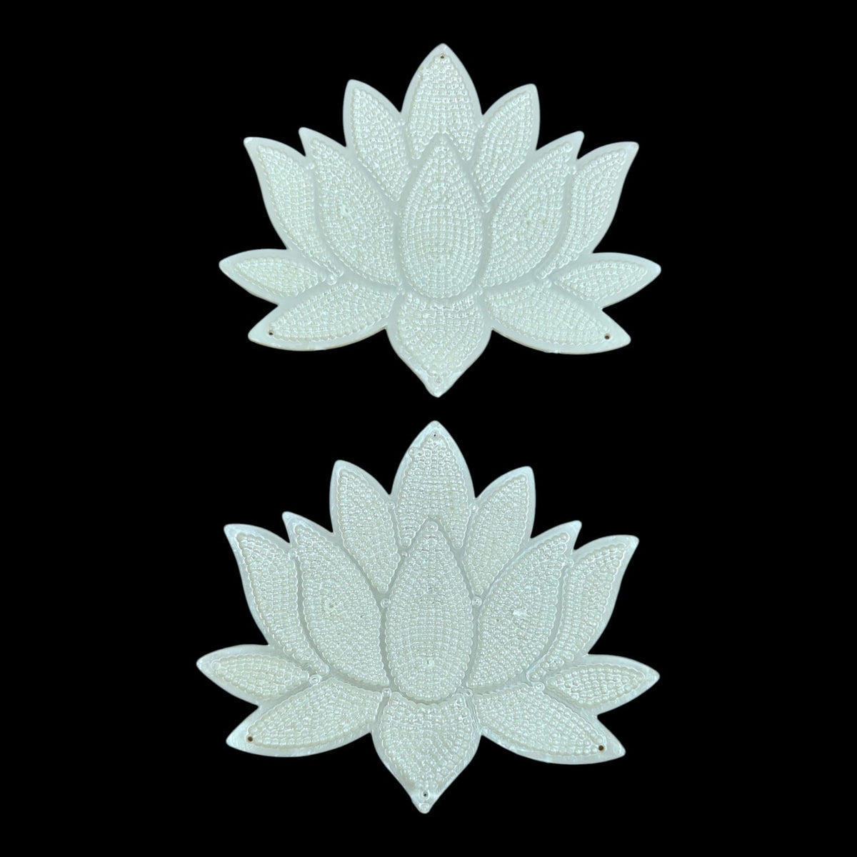 White Lotus 5 Inch