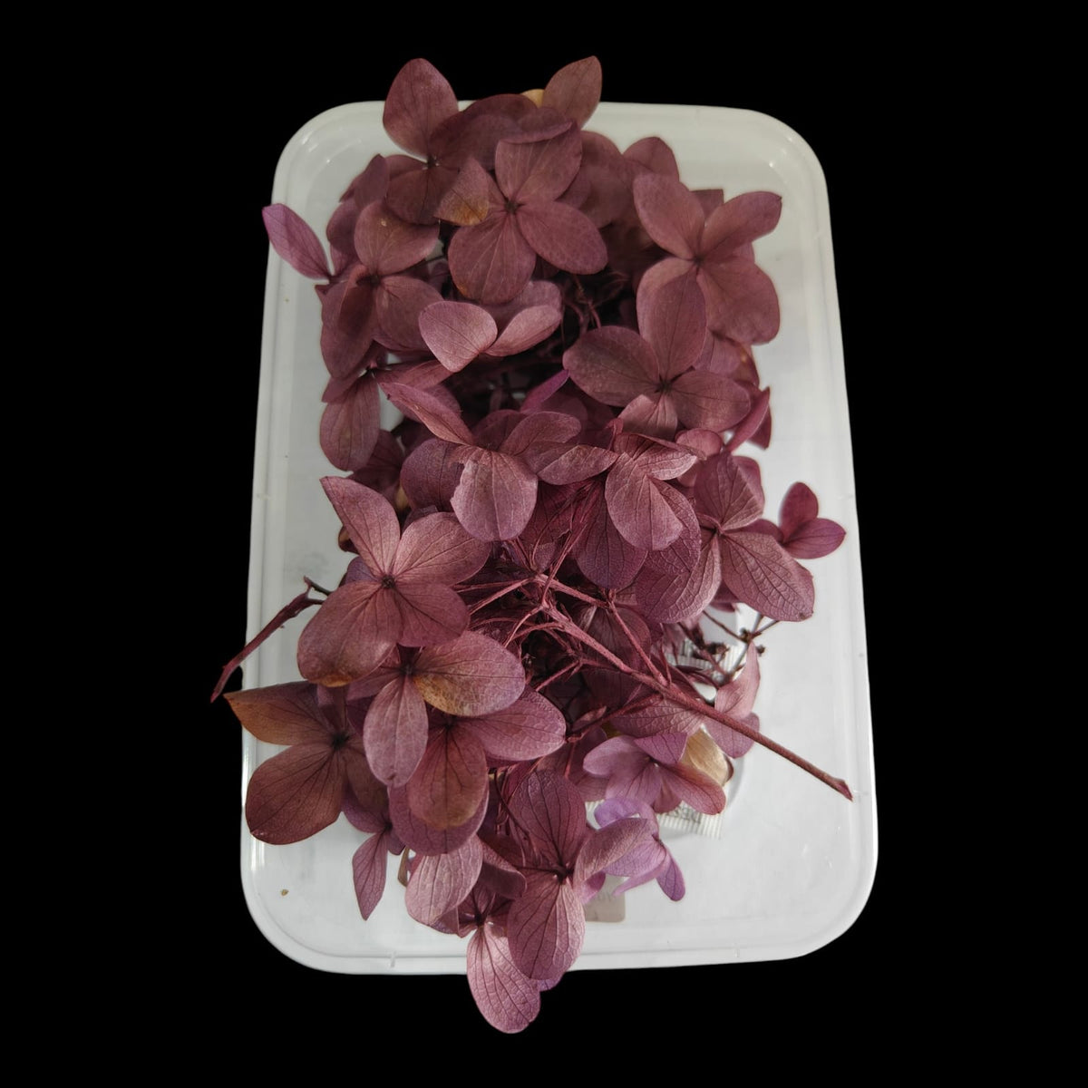 Hydrangea flower box-7