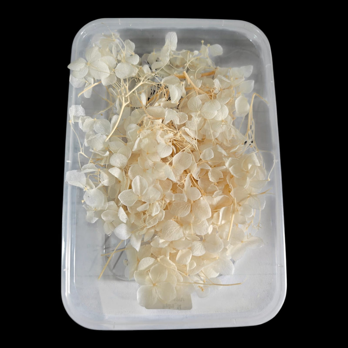 Hydrangea flower box-14