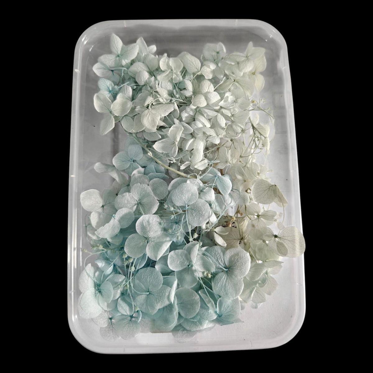 Hydrangea flower box-19
