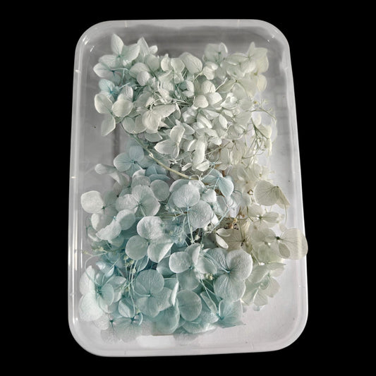 Hydrangea flower box-19