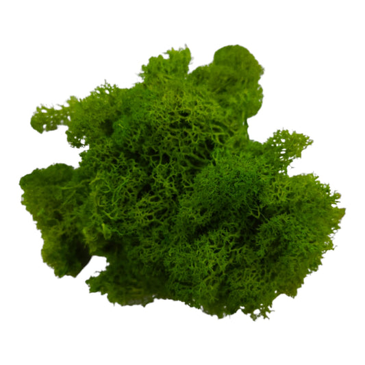 Moss grass - Light Green