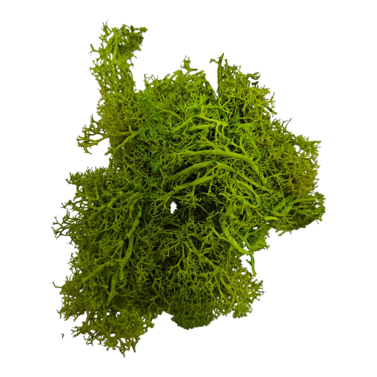 Moss grass - Yellow Green
