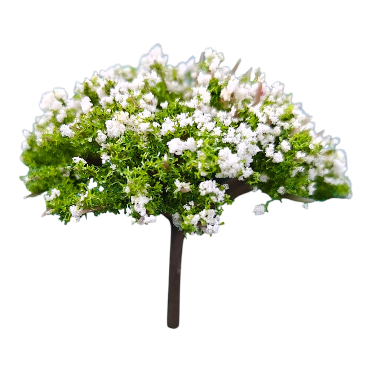 Tree_123