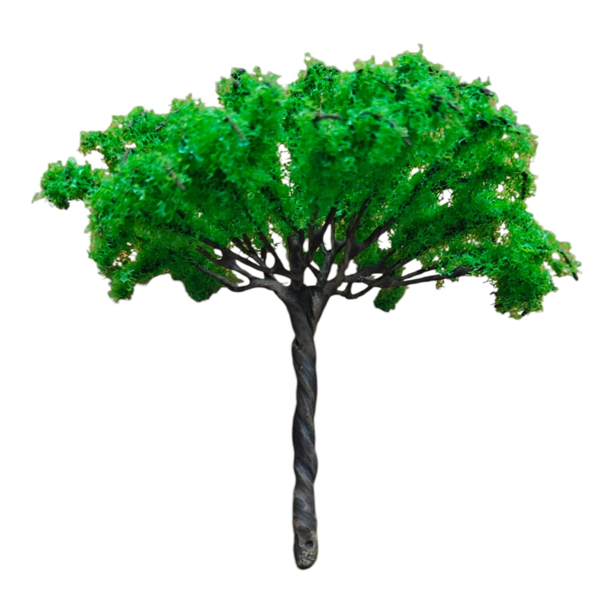 Big Tree_03