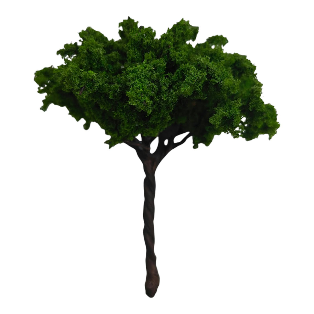 Big Tree_07