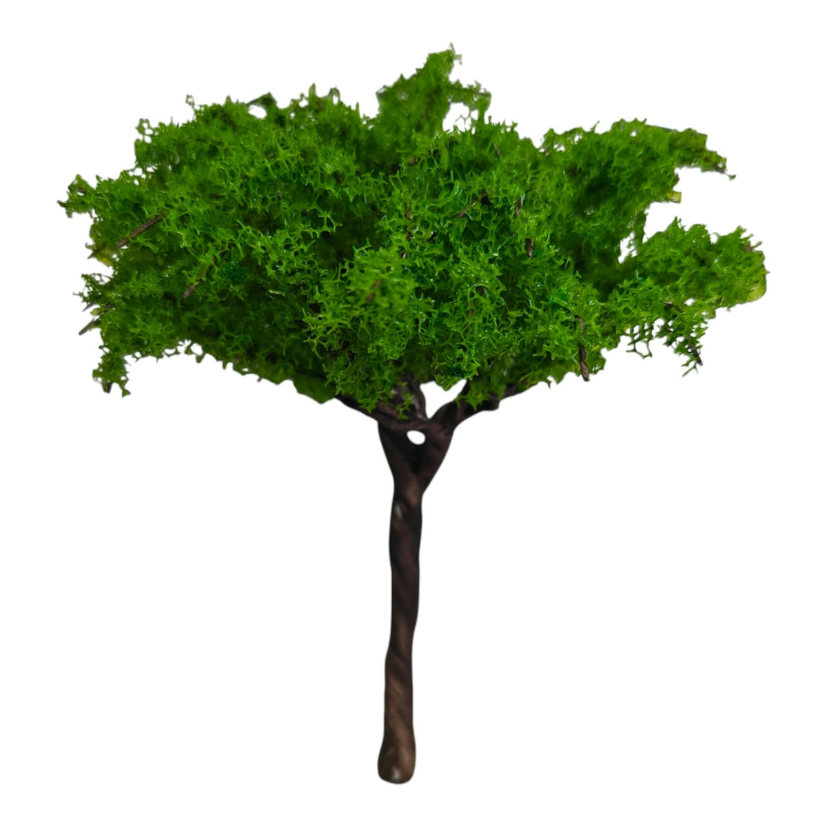 Big Tree_10